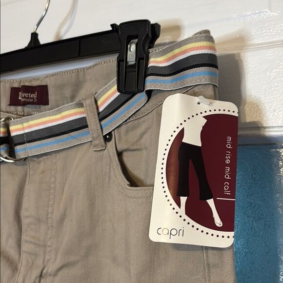 NWT Lee Riveted Ultimate 5 Women’s Cropped Pant with Striped Belt Size 14M - Picture 4 of 7